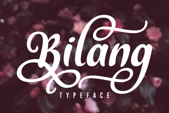 Bilang: Bold Script for Strong Branding
