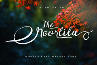 Noorlita: A Beautiful Script for Luxury and Creativity
