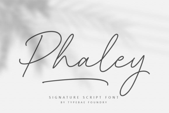 Phaley: The Handwritten Font for Authentic Branding